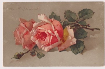 C. Klein Kwiaty Róże ok.1910r.Sucha Stróże Dworzec