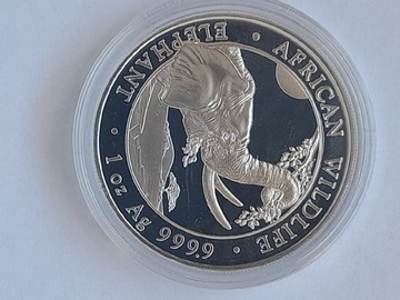 Afrikan wildlife 1 oz AG 9999 Elephant 2023 Somali