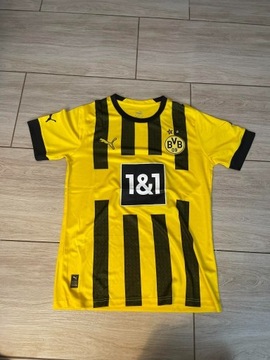 Koszulka piłkarska Borussia Dortmund 2023/24