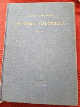 Anatomia człowieka, tom VI