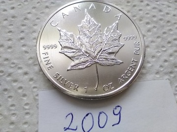 Maple Leaf Liść klonowy 2009 1 oz Ag  Real Foto