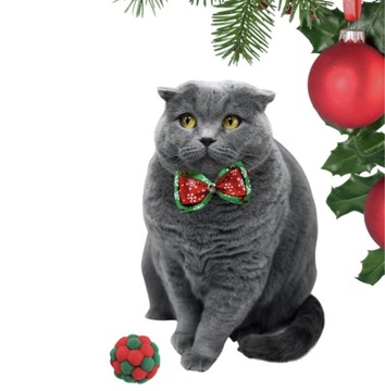 Zestaw świąteczny - prezent dla kota