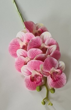 Storczyk Orchidea Silikonowy jak Żywy Różowy 