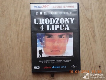 Film:  Urodzony 4 Lipca płyta  - DVD  PL