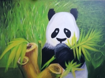 Obraz akrylowy na płótnie, Panda, 60 cm x 80 cm