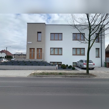 Lokal na wynajem Ostrów Wielkopolski 100m2