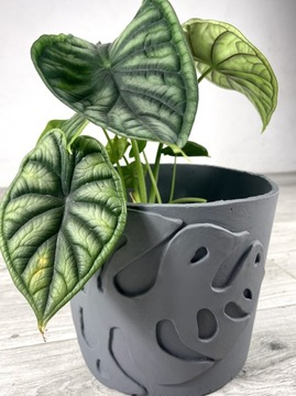 Doniczka Donica Osłonka Monstera Szara Handmade