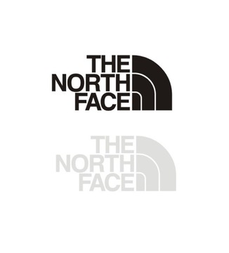 The north face termo naprasowanka koszulka t-shirt