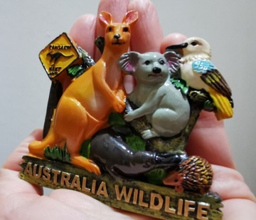 Zagraniczny magnes na lodówkę 3D Australia kangur