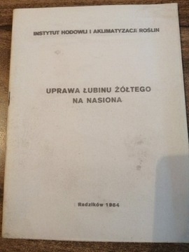 Uprawa Łubinu Żółtego na Nasiona 1984 IHAR PGR