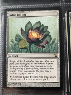 Lotus Bloom