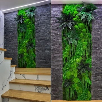 Obraz panel ściana z mchu, roślin stabilizowanych