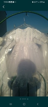 Piękna sukienka do chrztu 