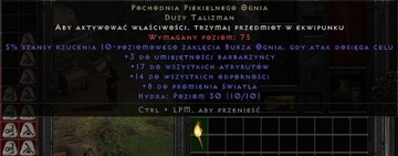 Diablo 2 Resurrected Torch Pochodnia Barbarzyńca