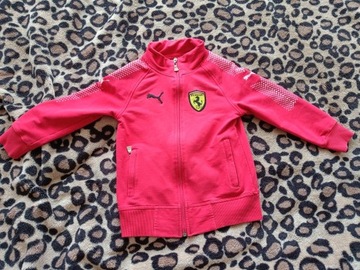 Bluza rozpinana Ferrari 116 Puma bez kaptura