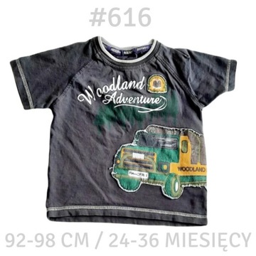 T-shirt Marks & Spencer 92-98cm 24-36 msc 2-3lata