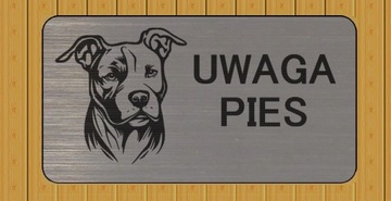 Srebrna tabliczka uwaga zły pies amstaff, pitbull