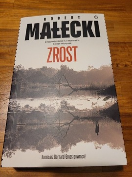 ZROST - Robert Małecki 