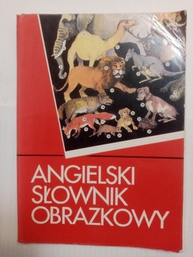 Angielski słownik obrazkowy