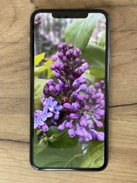 IPhone 11 Pro Max 256GB Nocna Zieleń