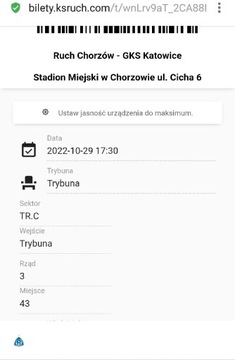 Bilet na mecz  Ruch Chorzów - gks katowice