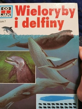 Wieloryby i delfiny. Co i jak. Tom 7