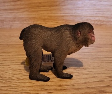 Schleich makak japoński figurka model z 2023 r.