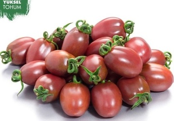 Pomidor Purpurina F1