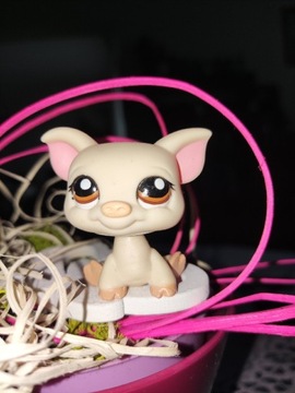 LPS littlest pet shop figurka Hasbro świnka 