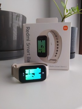 Zegarek Redmi Smart Band 2