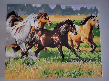 Obraz malowany po numerach, prezent, koń, lew