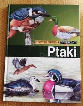 Encyklopedia ptaków 