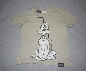 Koszulka ZARA dziecięca z nadrukiem Pluto 104