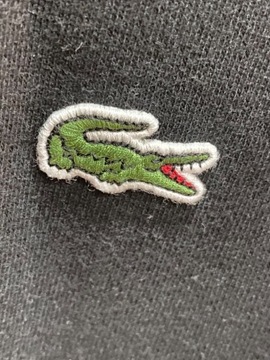 Sweter Lacoste