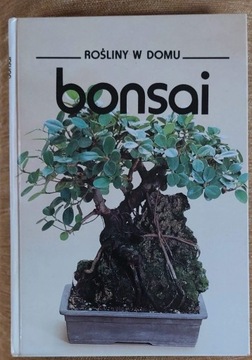 bonsai rośliny w domu