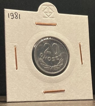 20 gr 1981                               