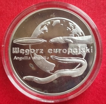 20 zł Węgorz Europejski 2003 r,srebro 925,mennicza