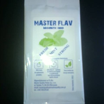 Karta do aromatyzowania mentolowa MASTER FLAV