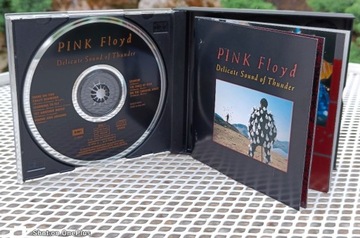 CD Pink Floyd Delicate sound of thunder 1988 I wydanie ! super stan 2xCD