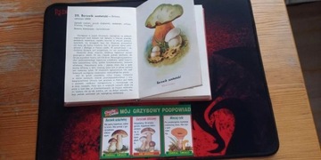 Atlas grzybów książka
