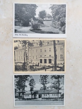 Żary, Sorau, 3 pocztówki/1900, cena za 3