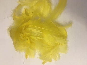 Piórka dekoracyjne żółte 50g
