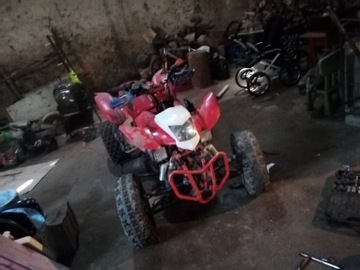 Bashan Yamaha raptor xj600