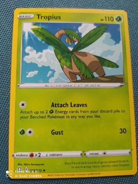 Pokemon tcg 005/072