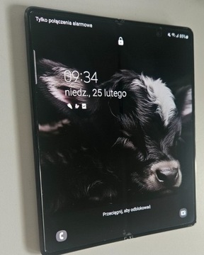 Samsung Galaxy Z Fold2 5G SM-F916B czarny