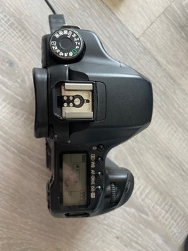 Canon EOS 40D Sprawny