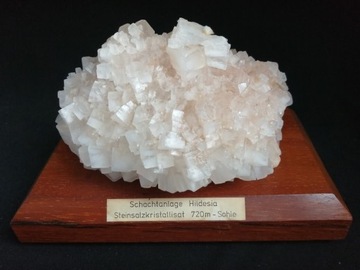 Kryształ Soli  steinsalzkristallisat 720m sohle