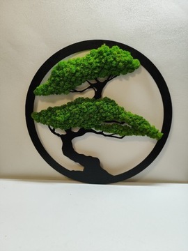 Drzewko bonsai. Obraz mech chrobotek. 40 cm drzewo