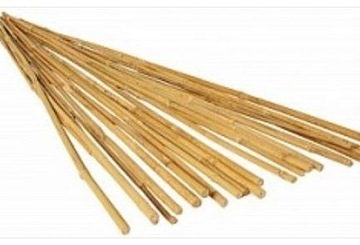 tyczki bambusowe 10 szt 75cm do podpierania roślin