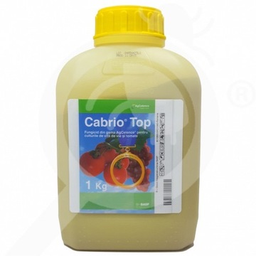 Cabrio top basf 